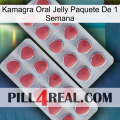 Kamagra Oral Jelly 1 Week Pack 19